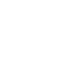 Tworzenie stron internetowych Szczecin - ikona usługi